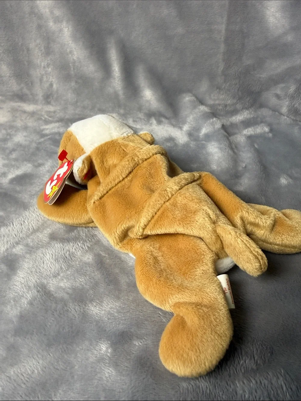 Ty Tan and White Plush Puppy with Heart Tag